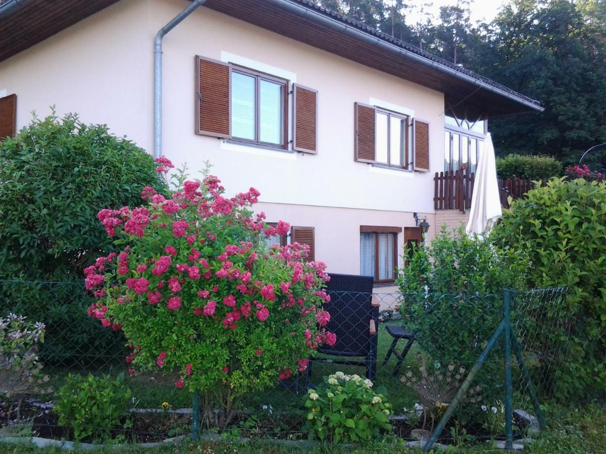 Ferienwohnung-Hajek Sankt Ruprecht an der Raab Exteriér fotografie
